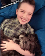   Iain Armitage -  